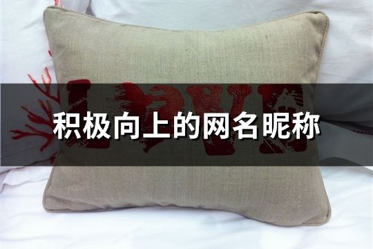 積極向上的網名昵稱(317個)