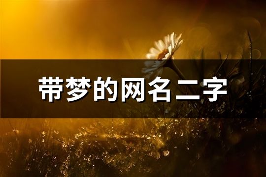 帶夢的網名二字(共177個)