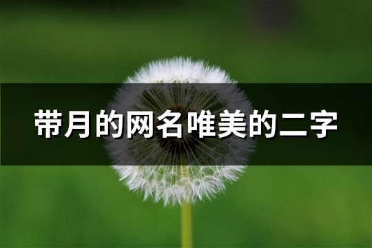 帶月的網(wǎng)名唯美的二字(精選84個(gè))