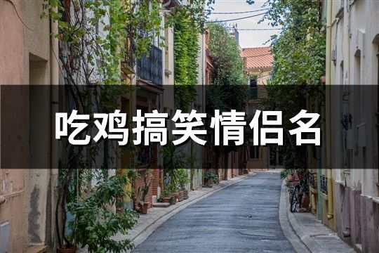 吃雞搞笑情侶名(精選67對(duì))
