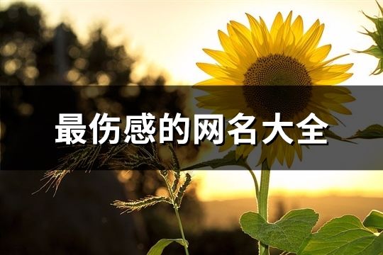 最傷感的網名大全(963個)
