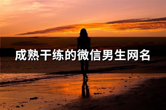 成熟干練的微信男生網名(精選134個)