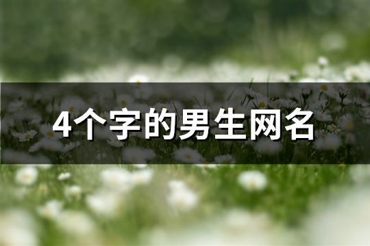 4個字的男生網名(共98個)