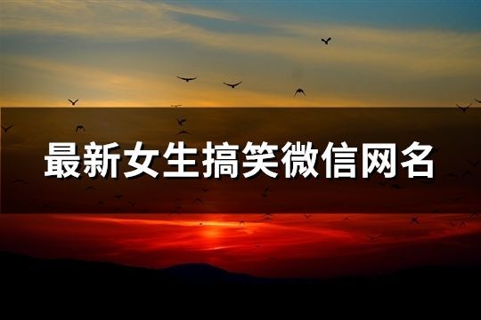 最新女生搞笑微信網(wǎng)名(131個(gè))
