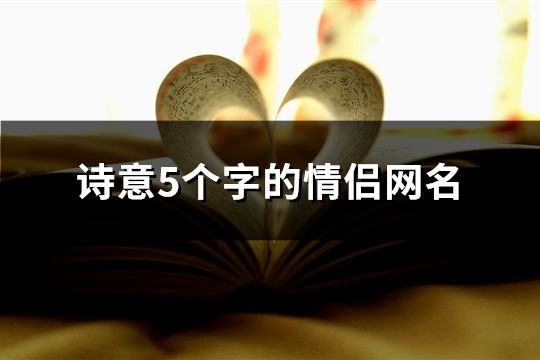 詩意5個字的情侶網名(共99對)