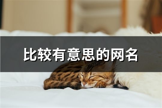比較有意思的網(wǎng)名(精選130個)