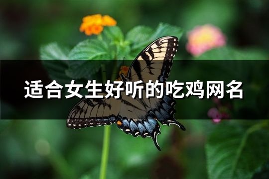 適合女生好聽的吃雞網名(共95個)