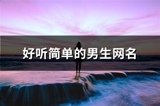 好聽簡單的男生網名(99個)