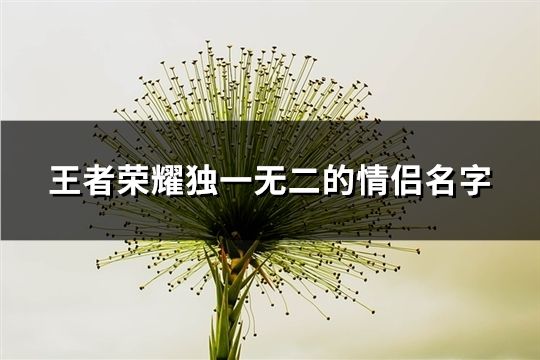 王者榮耀獨(dú)一無(wú)二的情侶名字(精選148對(duì))