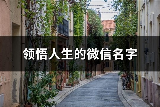 領(lǐng)悟人生的微信名字(133個(gè))
