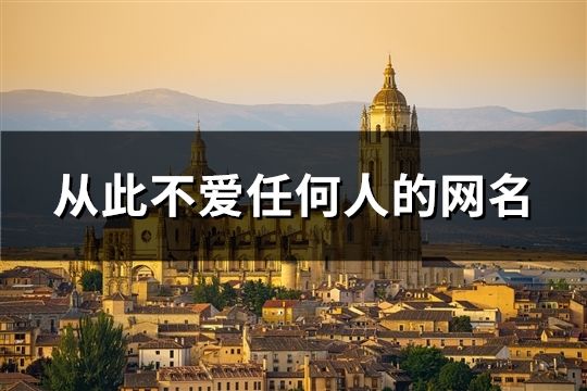 從此不愛任何人的網(wǎng)名(精選114個)