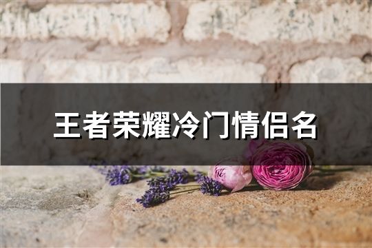 王者榮耀冷門情侶名(共126對)