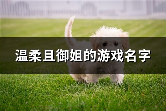 溫柔且御姐的游戲名字(共136個(gè))