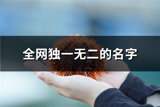 全網獨一無二的名字(精選89個)