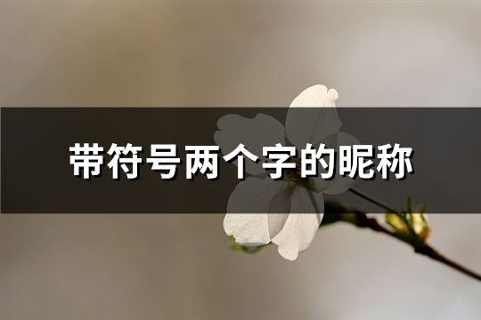 帶符號兩個字的昵稱(精選100個)