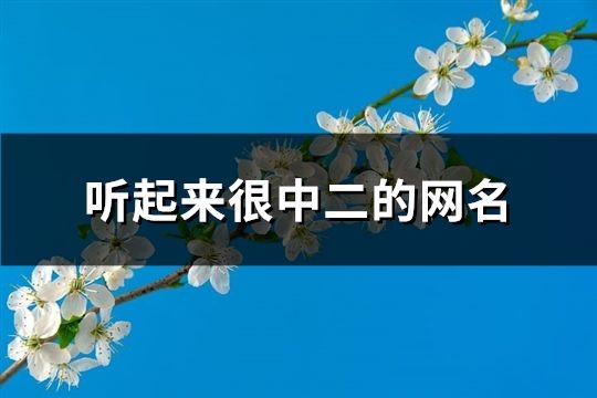 聽起來很中二的網名(精選129個)