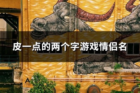 皮一點的兩個字游戲情侶名(精選144對)