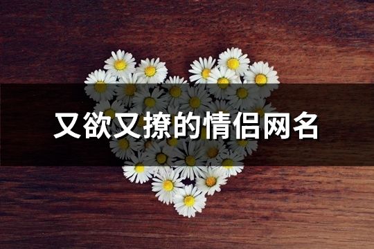 又欲又撩的情侶網(wǎng)名(精選125對)