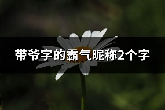 帶爺字的霸氣昵稱2個字(精選38個)