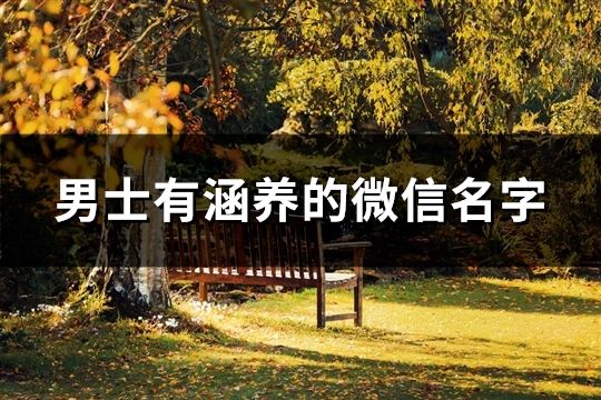 男士有涵養(yǎng)的微信名字(共108個)