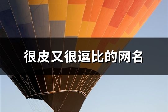 很皮又很逗比的網名(精選132個)