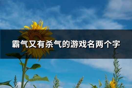 霸氣又有殺氣的游戲名兩個字(共150個)