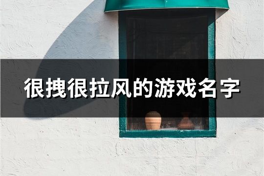 很拽很拉風的游戲名字(141個)