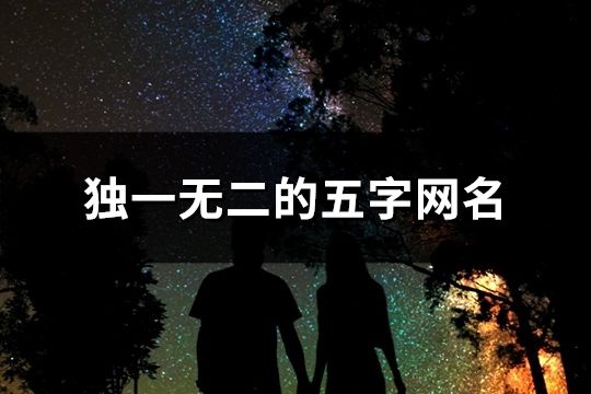獨(dú)一無二的五字網(wǎng)名(精選114個)