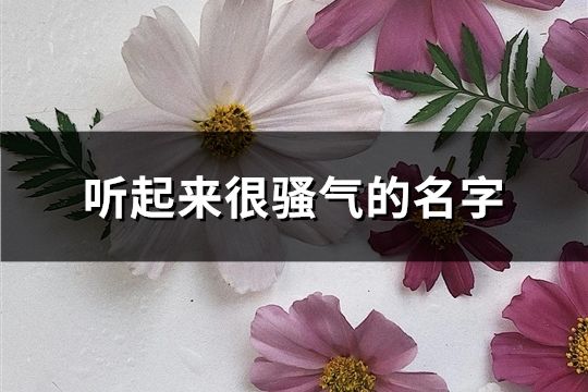 聽起來很騷氣的名字(精選104個)