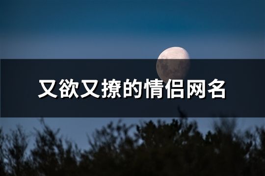 又欲又撩的情侶網名(精選80對)