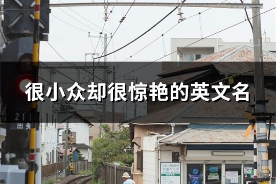 很小眾卻很驚艷的英文名(精選144個)