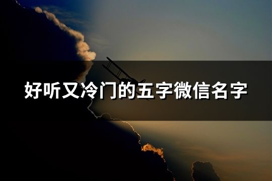 好聽又冷門的五字微信名字(共30個)
