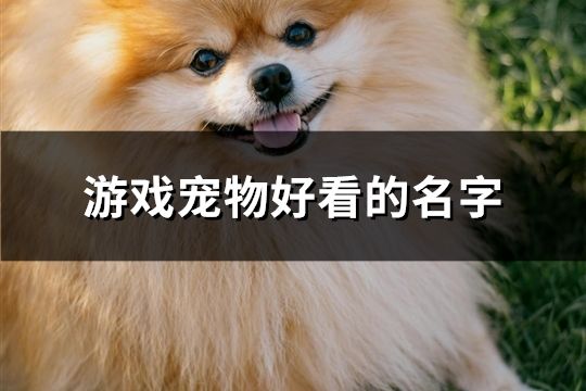 游戲寵物好看的名字(共102個)
