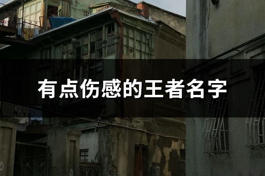 有點傷感的王者名字(共125個)
